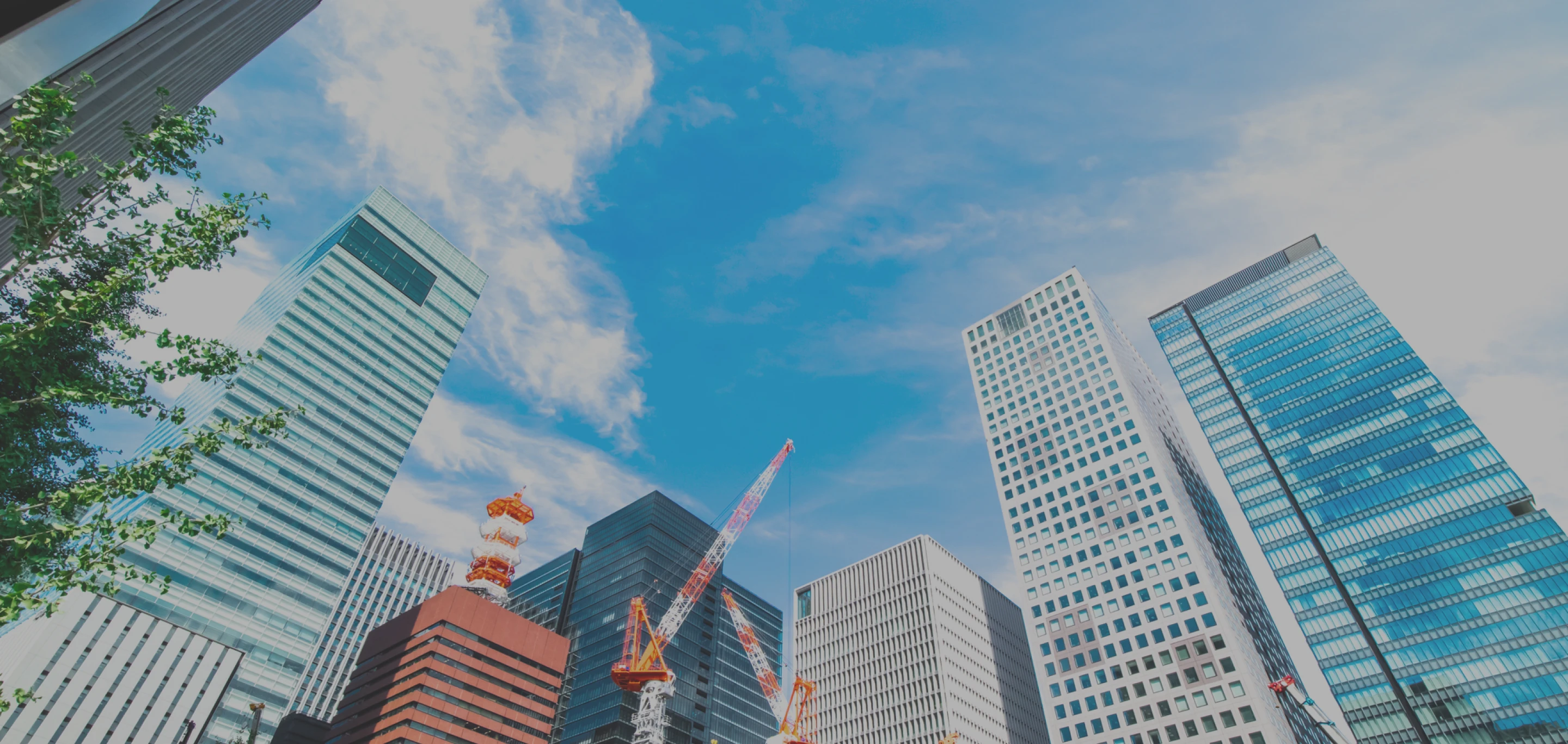 メインヴィジュアル